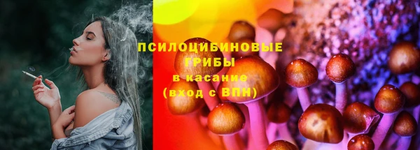 метадон Арсеньев