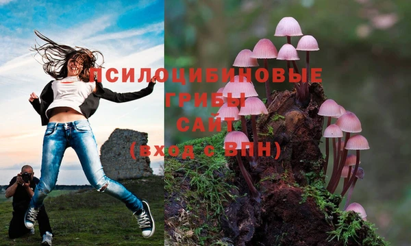 метадон Арсеньев