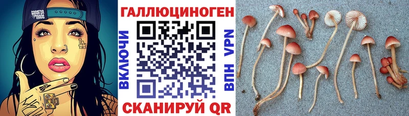 Галлюциногенные грибы Psilocybine cubensis  Купить где  Тейково 