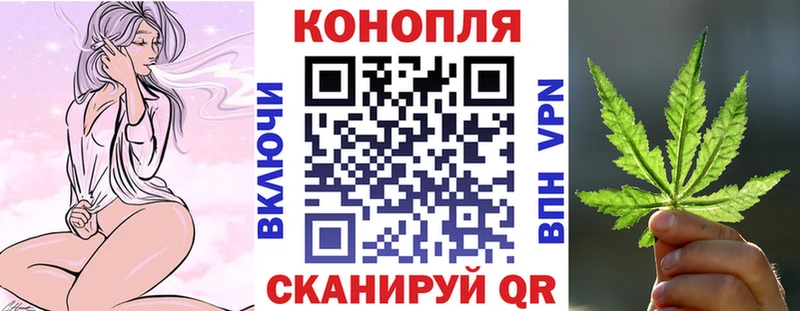 Бошки Шишки планчик  Купить закладки  Тейково 